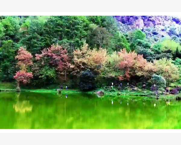 脾虚三伏贴：穴位缓解脾虚引发的不适与改善