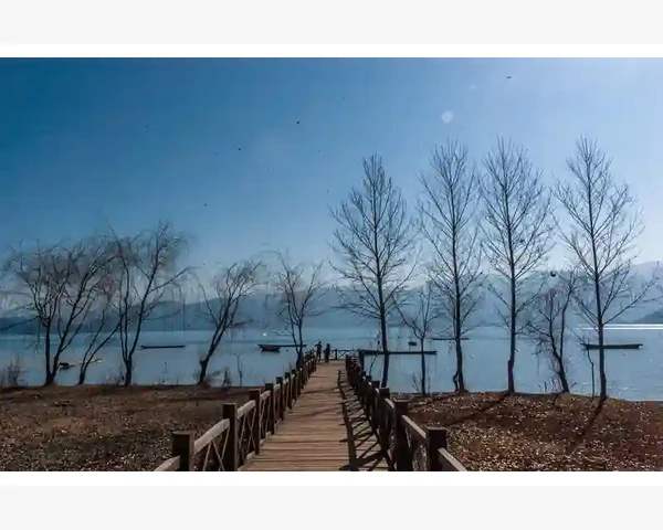 中医调理脾胃痰湿，自然疗法显成效